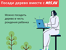 На mos.ru можно подать заявку на посадку дерева в честь рождения ребенка
