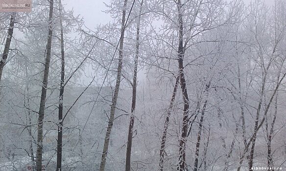 Небольшое похолодание ожидается в Красноярске