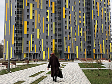 Оценена возможность жизни коронавируса на волосах человека