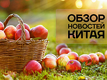 Обзор новостей Китая. Сельскохозяйственная ярмарка в Чанчуне