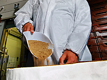 В Госдуме оценили идею кормить россиян хлебом из насекомых