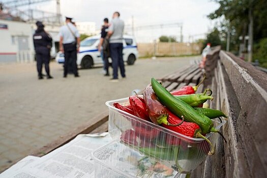 С начала года в Зеленограде прошло более 750 рейдов для пресечения нелегальной торговли
