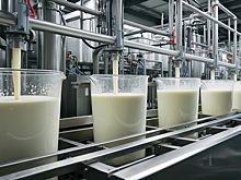 Союзмолоко: себестоимость молока в России снижается