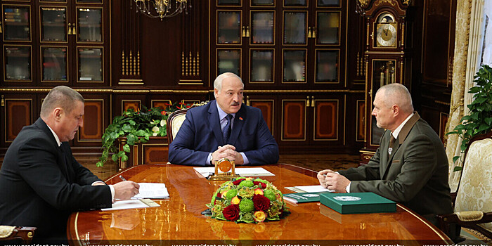 Лишних медведей предложили изымать в Беларуси