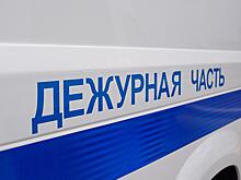 В Липецке сотрудники полиции установили всех участников инцидента с избиением несовершеннолетней