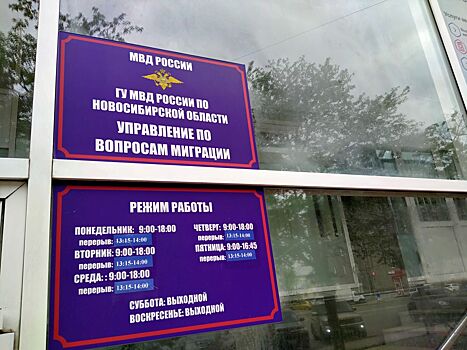 Новосибирские компании рассказали о работе без мигрантов