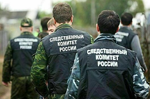 СК РФ возбудил дела по фактам применения запрещенных средств и методов ведения войны
