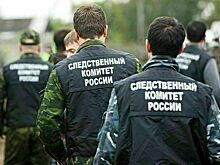 СК РФ возбудил дела по фактам применения запрещенных средств и методов ведения войны