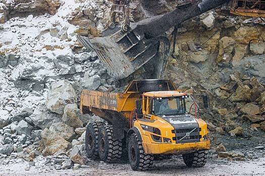 В&nbsp;России задумались о&nbsp;пошлинах на&nbsp;один вид товаров