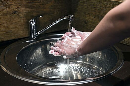 Британские ученые доказали пользу мытья рук. А золотистые хомяки – необходимость ношения маски