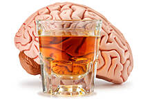 Правда ли, что алкоголь в малых количествах полезен для ума