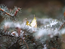 В Сахалинской области из-за циклона объявили штормовое предупреждение