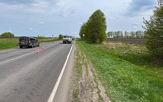 В Курской области водитель насмерть сбил пешехода