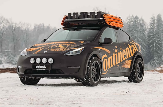 Tesla Model Y отправили покорять бездорожье