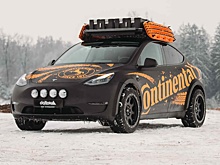 Tesla Model Y отправили покорять бездорожье