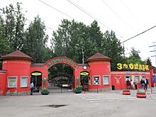 В Московском зоопарке отметят день рождения панд Диндин и Жуи