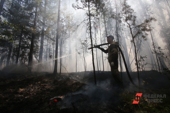 Свердловских лесных пожарных оснастят связью