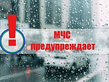 МЧС распространило экстренное предупреждение о непогоде в Волгоградской области