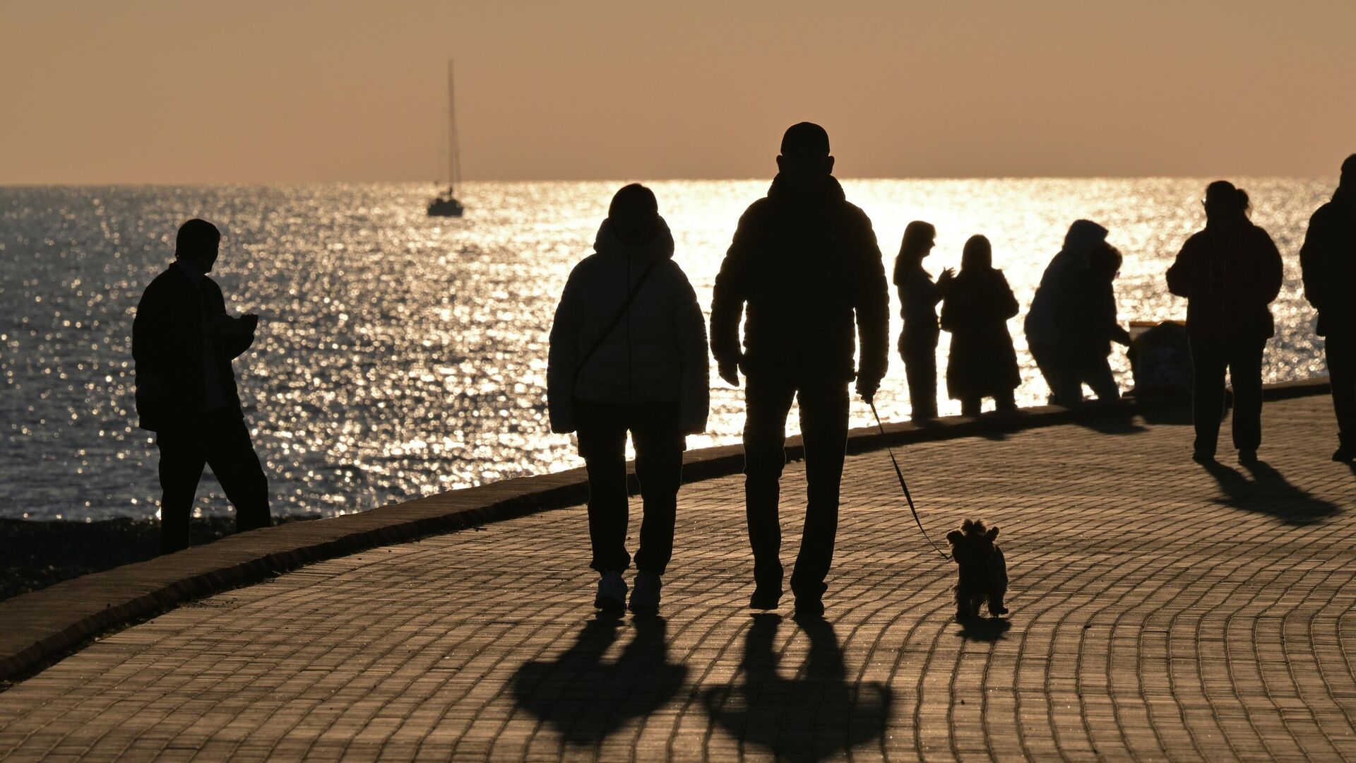 В Российской академии наук заявили, что в Сочи может произойти сильное землетрясение