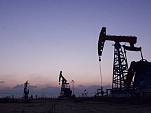 США в январе сохранили лидерство по добыче нефти в мире