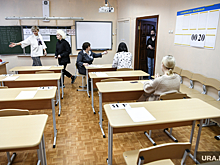 Детей в Курганской области из-за пожаров переведут в другие школы