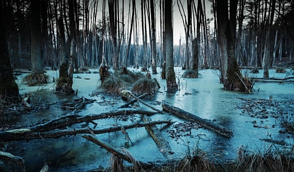 Чем грозит планете осушение болот