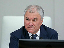 Володин: Госдума 12 ноября обсудит развитие современных технологий производства в АПК