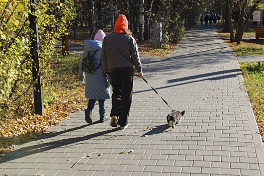 Погода преподнесет сюрприз жителям Красноярска