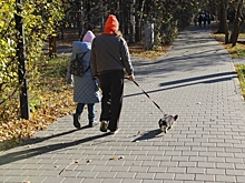 Погода преподнесет сюрприз жителям Красноярска