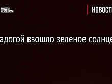 Над Ладогой взошло зеленое солнце – фото