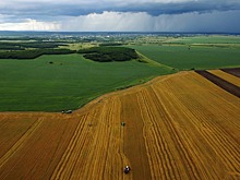 Правительство одобрило упрощение процедуры получения «дальневосточного гектара»