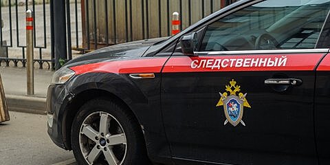 В «Единой России» попросили СК проверить обстоятельства перевозки ребенка в багажнике такси в Подмосковье
