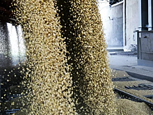 В Севастополе рассказали об увеличении экспорта сельхозпродукции в 2019 году