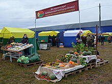 Состоялась выставка - ярмарка «Золотая осень Забайкалья-2020»