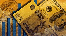 Неимение альтернатив и нежелание принимать реальность: экономисты назвали причины формирования резервов РФ в иностранной валюте