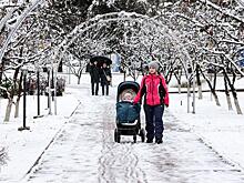 Юрий Крупнов: Россию ждет демографическая катастрофа, но с нынешними элитами ждать иного и не приходится