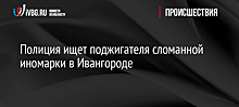 Полиция ищет поджигателя сломанной иномарки в Ивангороде