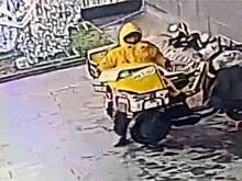 Начата проверка после видео с перевозкой детей в курьерских сумках в Подмосковье