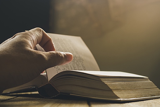 Какие книги прочитать о блокаде Ленинграда