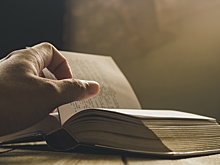 Какие книги прочитать о блокаде Ленинграда