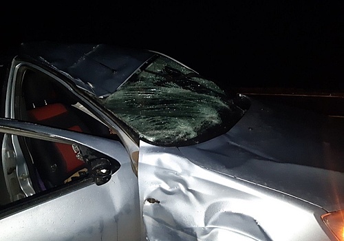 Три человека погибли в ДТП на автодороге "Кола" в Ленинградской области