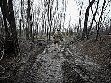 Российский военкор сообщил о ликвидации одного из командиров ВСУ