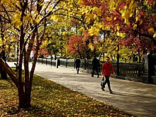 Россиян предупредили о холодах в сентябре