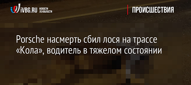 Porsche насмерть сбил лося на трассе «Кола», водитель в тяжелом состоянии