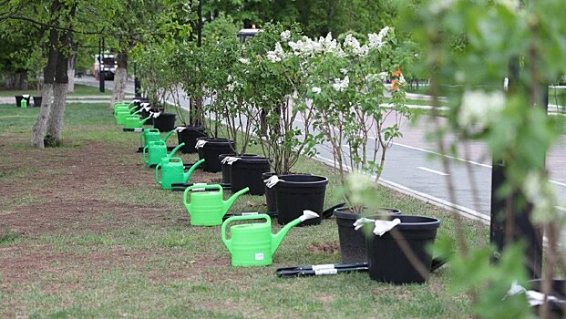 Лесной доход Подмосковья превысил 1 млрд рублей