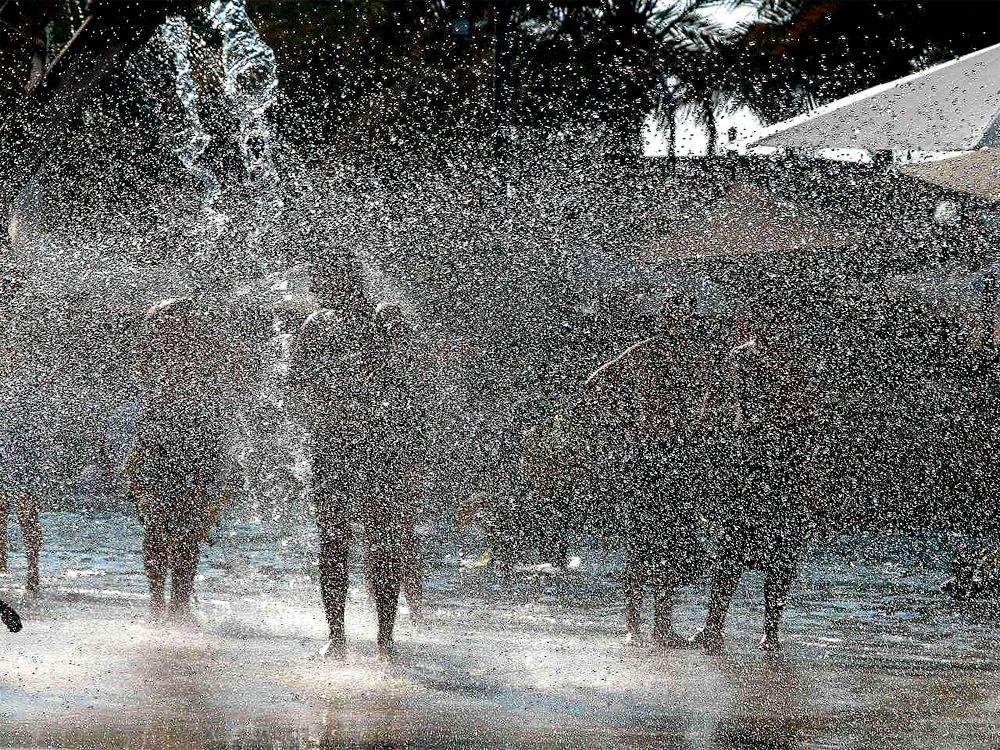 Аквапарк Wild Wadi, Дубай, Объединенные Арабские Эмираты