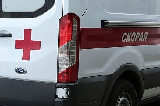 21-летняя россиянка скончалась после того, как на нее упало дерево