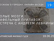 Зоопарк в прямом эфире, онлайн-выставка и «Идиот»: 13 онлайн-событий июня