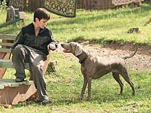 Особая форма дружбы: Иван Харатьян дебютировал полнометражным фильмом «Каруза»