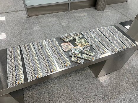 На таможне в Домодедово у россиянина нашли $100 тысяч